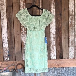 Rose Lace Mini Dress